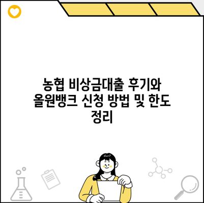 농협 비상금대출 후기와 올원뱅크 신청 방법 및 한도 정리