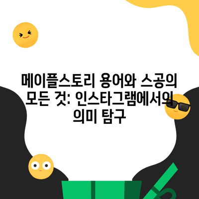 메이플스토리 용어와 스공의 모든 것: 인스타그램에서의 의미 탐구