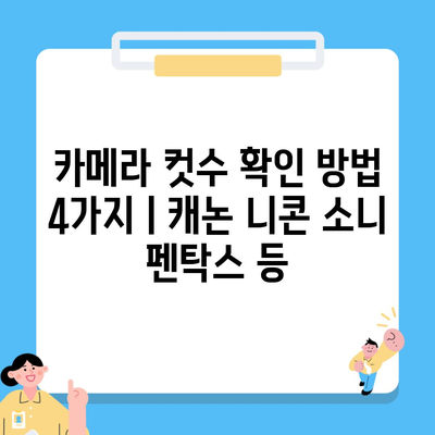 카메라 컷수 확인 방법 4가지ㅣ캐논 니콘 소니 펜탁스 등