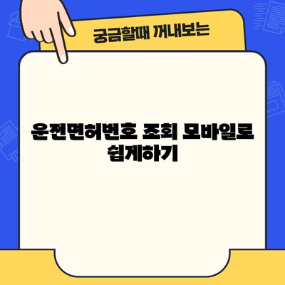 운전면허번호 조회 모바일로 쉽게하기