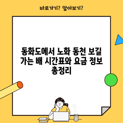 동화도에서 노화 동천 보길 가는 배 시간표와 요금 정보 총정리