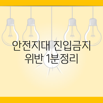 안전지대 진입금지 위반 1분정리