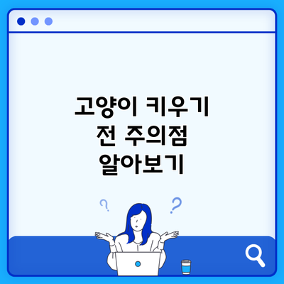 고양이 키우기 전 주의점 알아보기