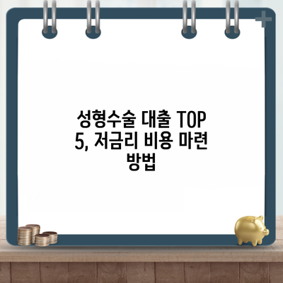 성형수술 대출 TOP 5, 저금리 비용 마련 방법