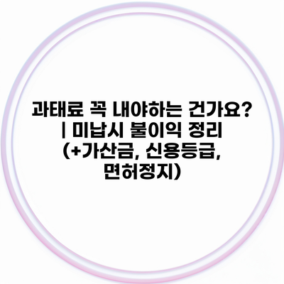 과태료 꼭 내야하는 건가요? | 미납시 불이익 정리 (+가산금, 신용등급, 면허정지)