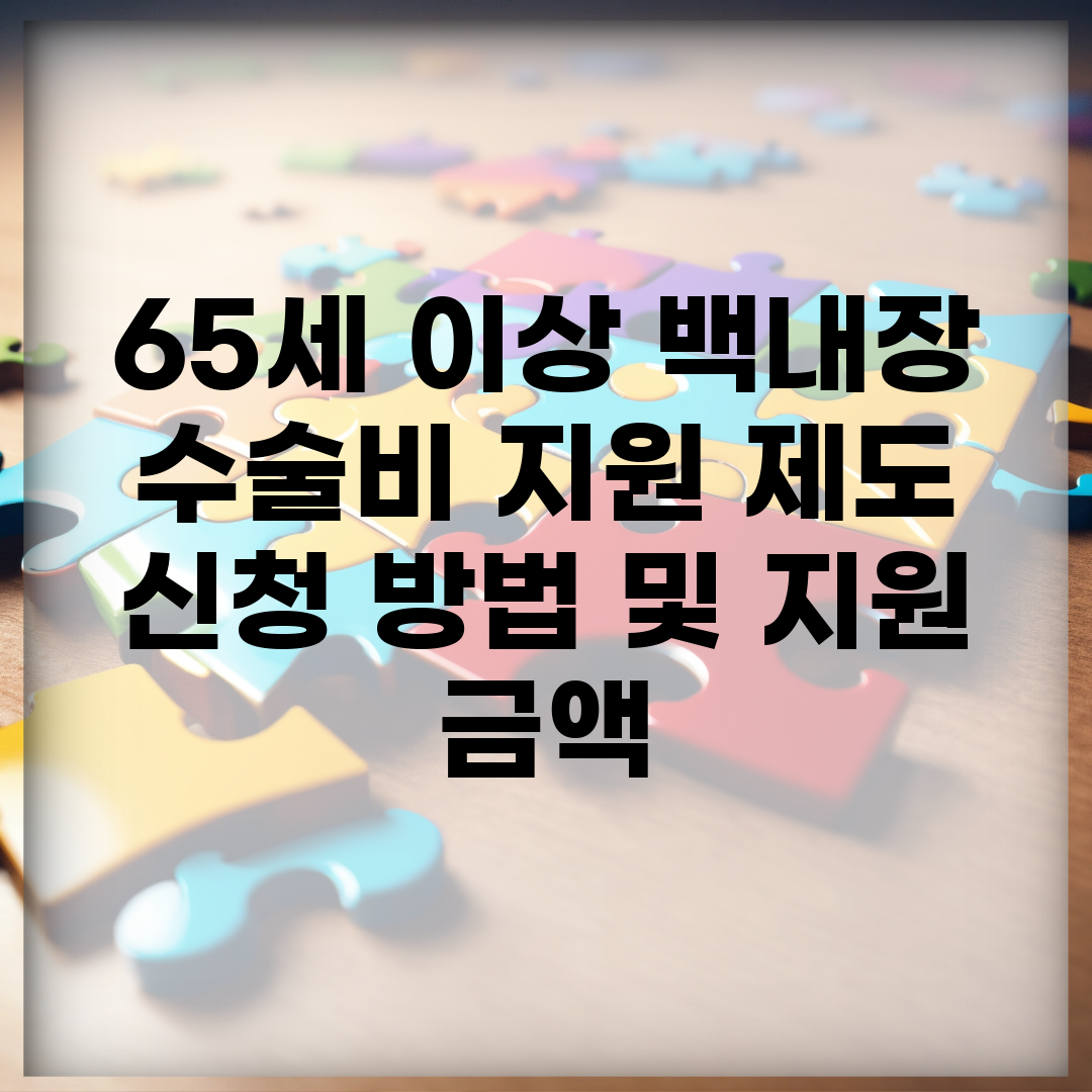 65세 이상 백내장 수술비 지원 제도 | 신청 방법 및 지원 금액
