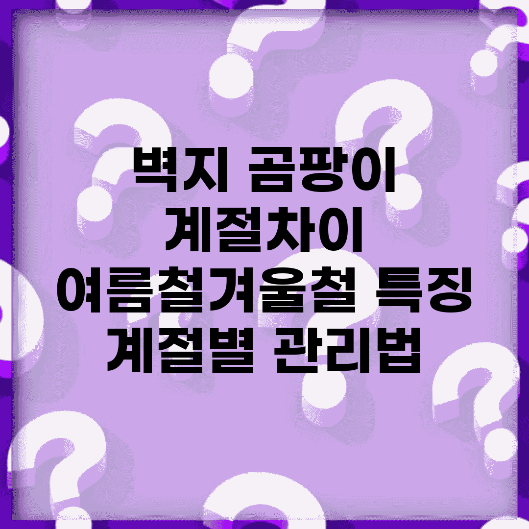 벽지 곰팡이 계절차이 | 여름철/겨울철 특징 + 계절별 관리법