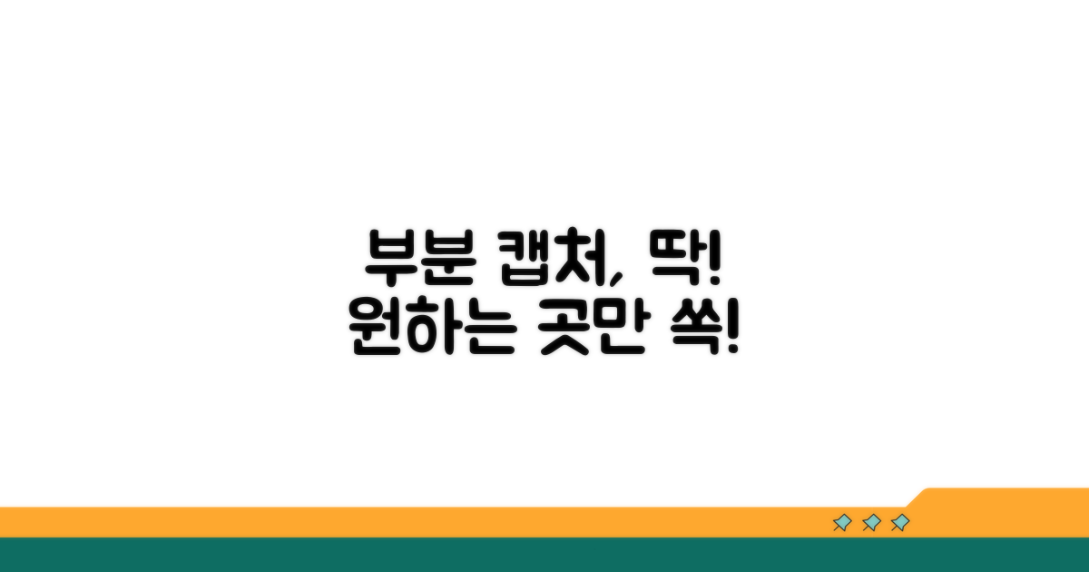 부분 화면 캡처, 원하는 곳만 쏙!