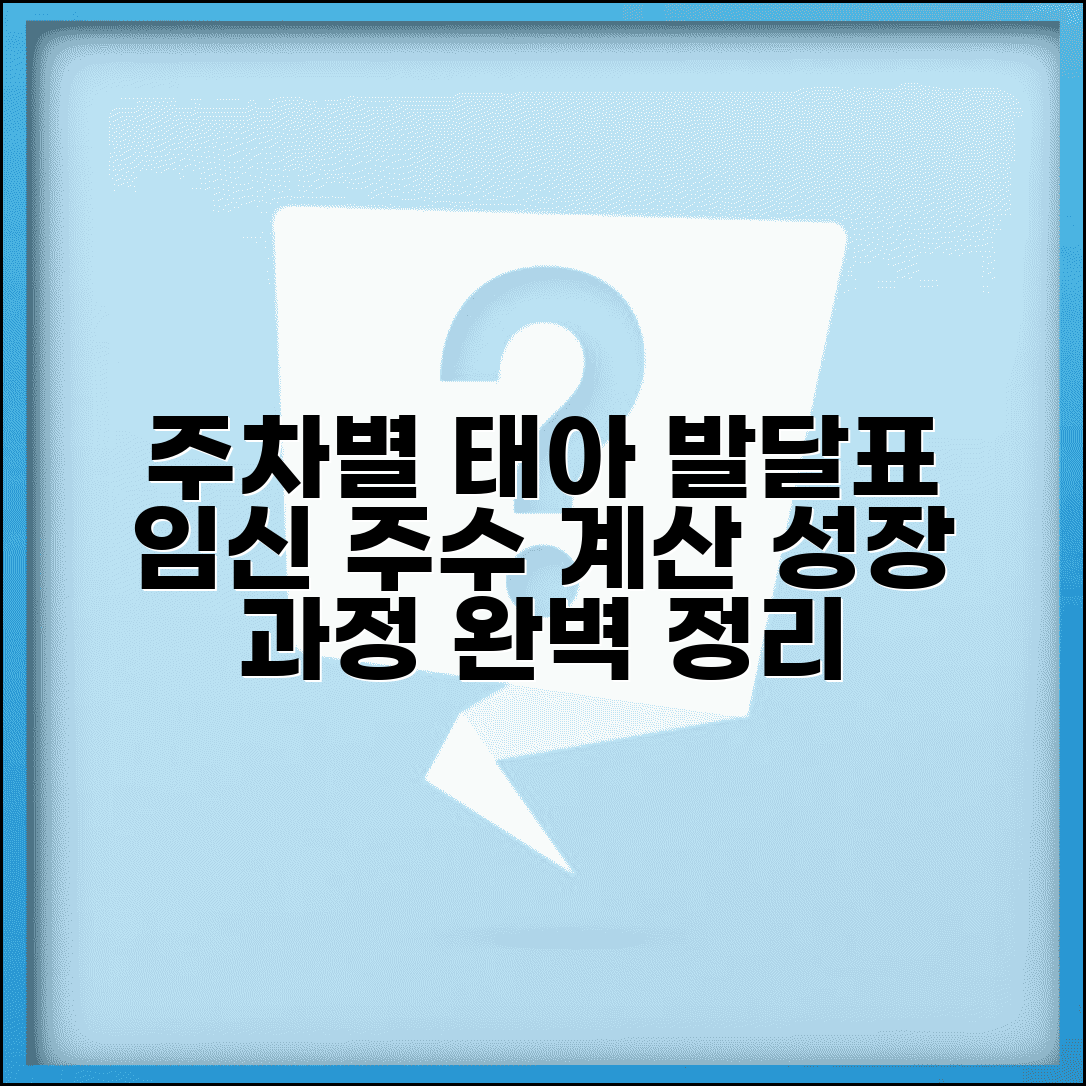 임신 주차별 태아 발달표 완벽 정리 | 임신 주수 계산 태아 성장 과정
