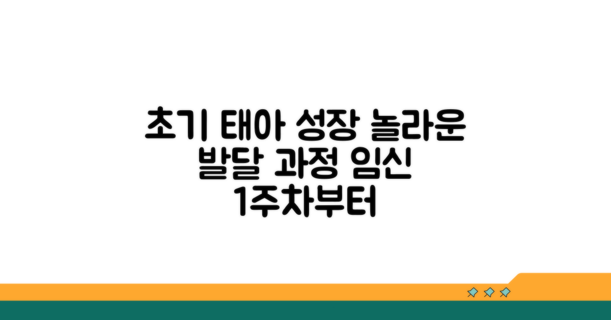 임신 초기 태아 발달 과정