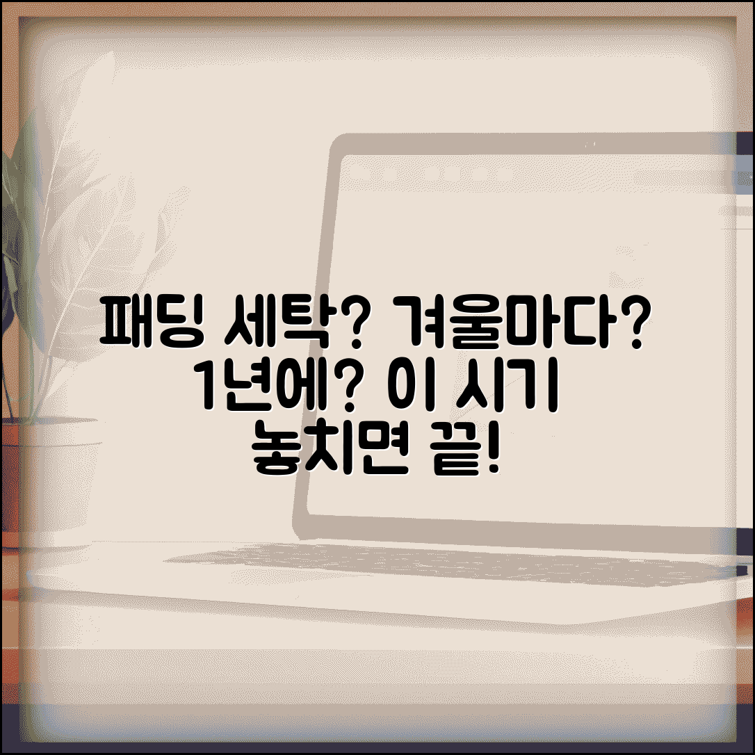 패딩 세탁 주기 시즌 몇 번 | 패딩 세탁 시기