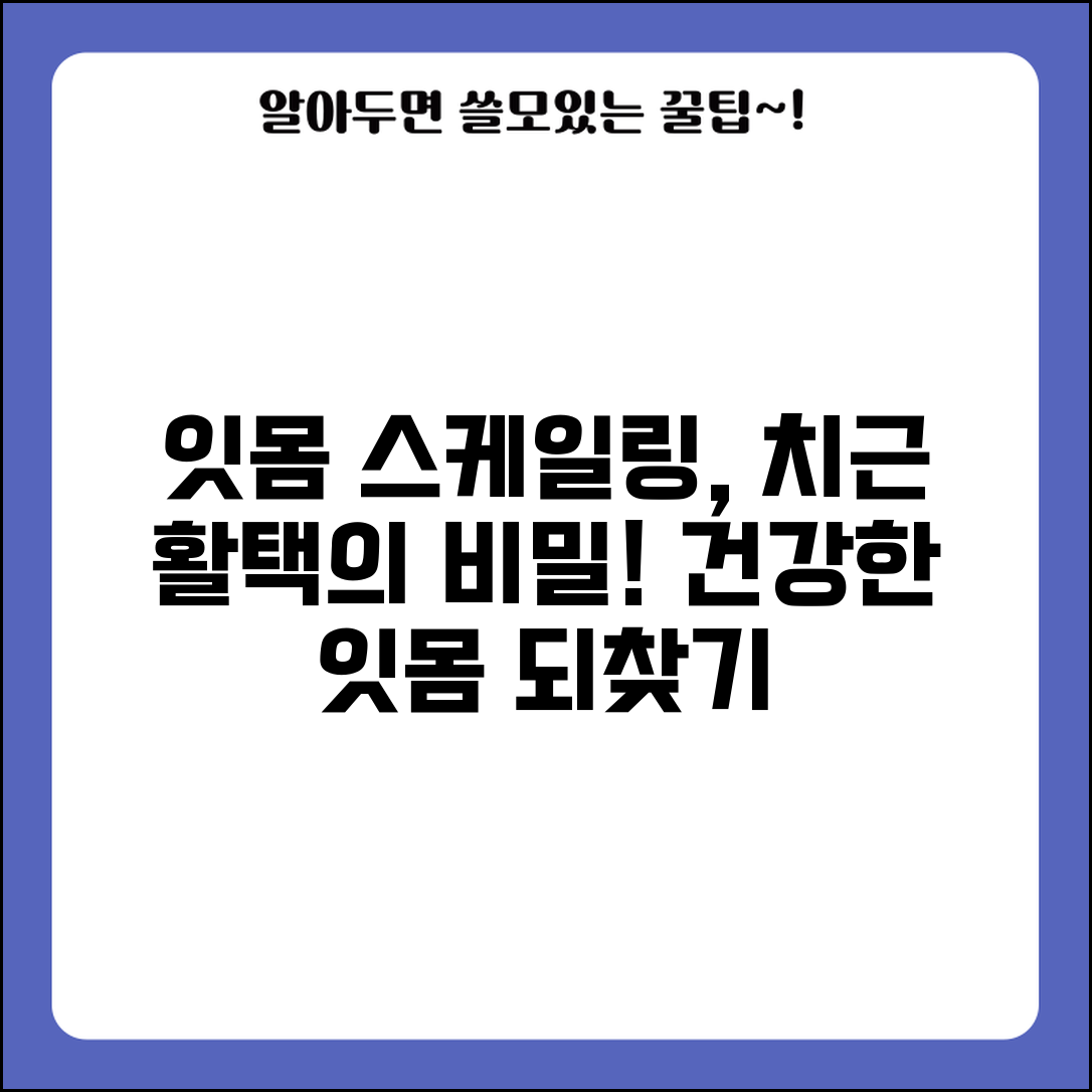 잇몸 치료 스케일링 치근 활택 | 잇몸 치료 과정 방법