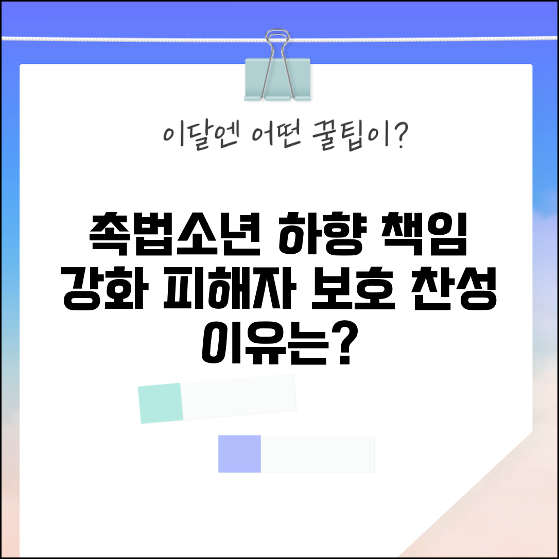 촉법소년 연령 하향 찬성 근거 | 책임성 강화와 피해자 보호 관점