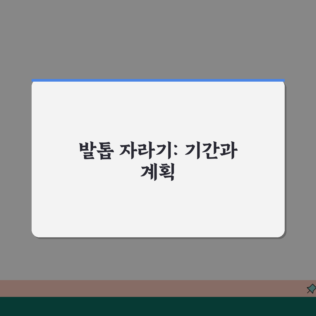발톱 기르는데 몇 개월 걸리는지 | 발톱 완전 재생 소요 시간 솔직후기, 직접 해봤어요