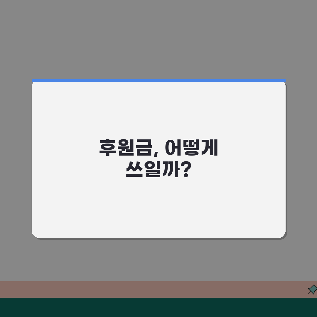 후원금 직접비 간접비 | 기부금 사용 내역과 분배 비율 솔직후기, 이렇게 쓰여요