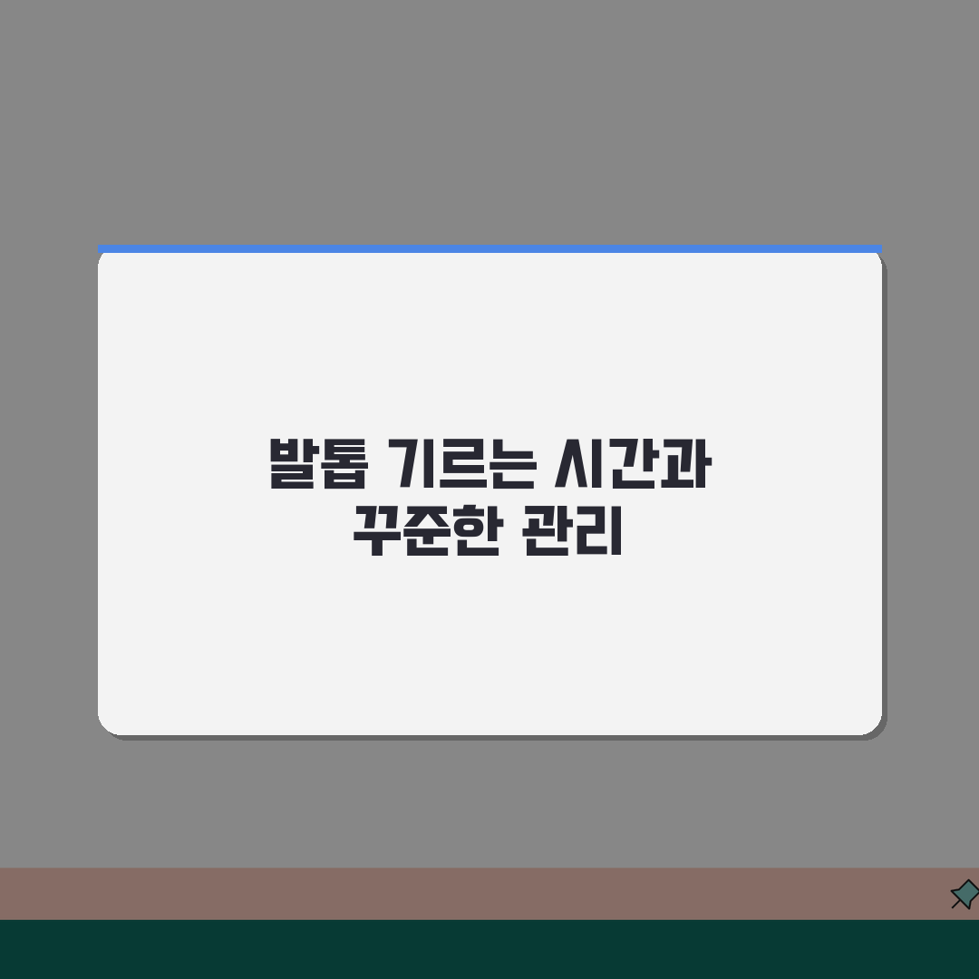 발톱 기르는데 몇 개월 걸리는지 | 발톱 완전 재생 소요 시간 솔직후기, 직접 해봤어요