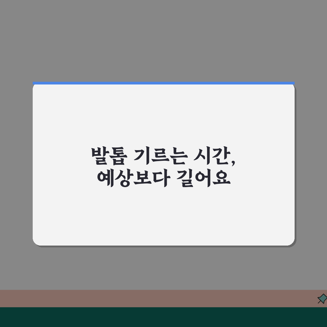 발톱 기르는데 몇 개월 걸리는지 | 발톱 완전 재생 소요 시간 솔직후기, 직접 해봤어요