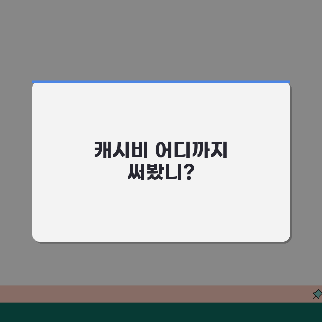 캐시비 사용처 정보 | 가맹점 이용안내 (+교통, 편의점, 공공시설) 직접 해봤어요