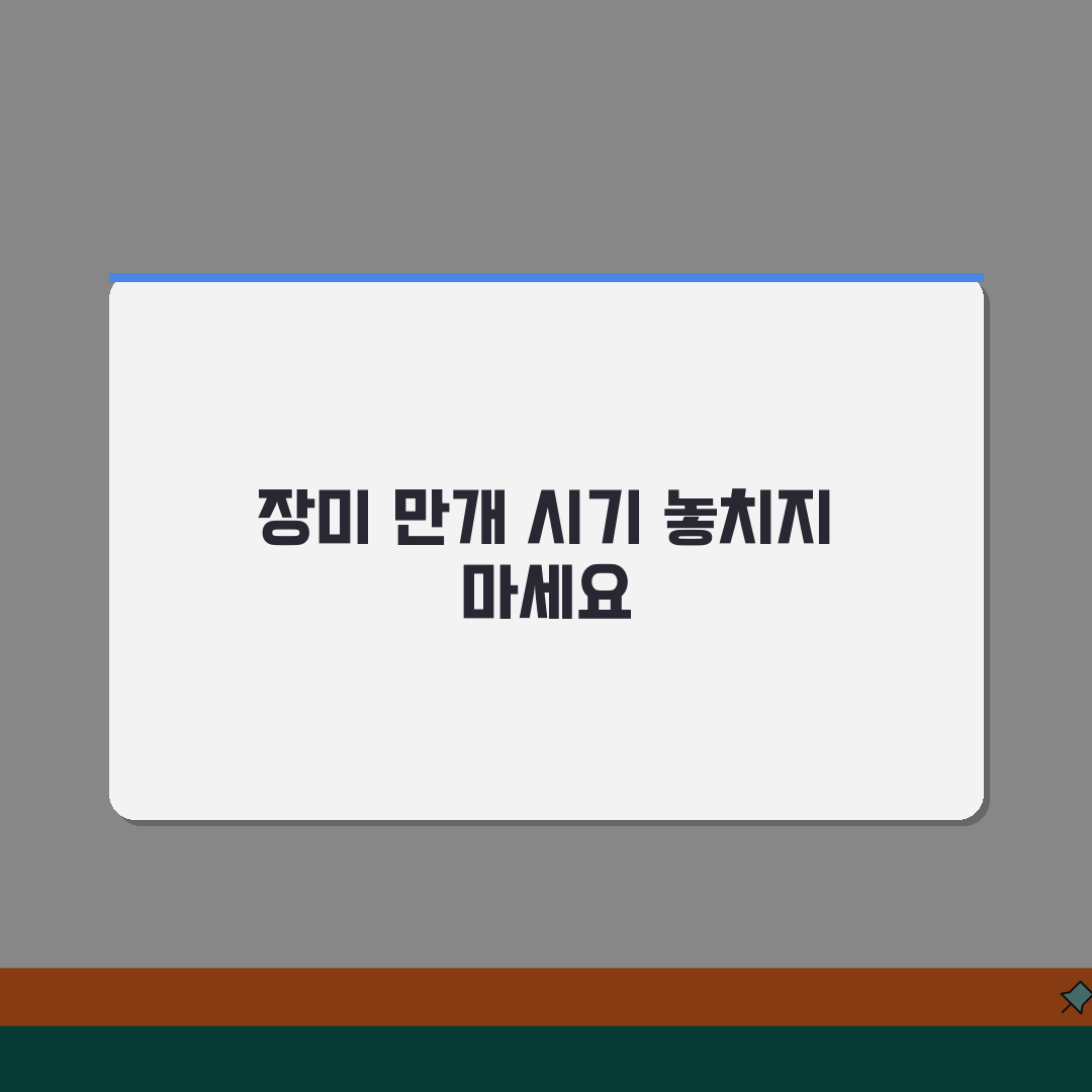 장미 축제 시기 몇 월 개최 | 장미 축제 개최 기간 추천! 놓치지 마세요