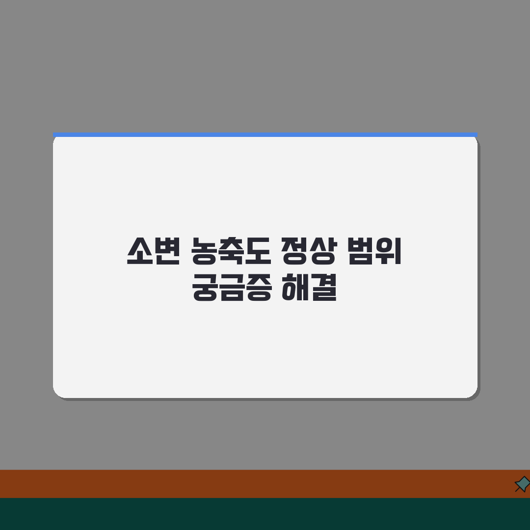 소변 비중 정상 수치 기준 | 소변 농축도 정상 범위 추천!