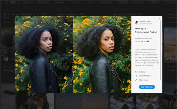 Adobe Lightroom Mobile의 세부 색상 조정 화면